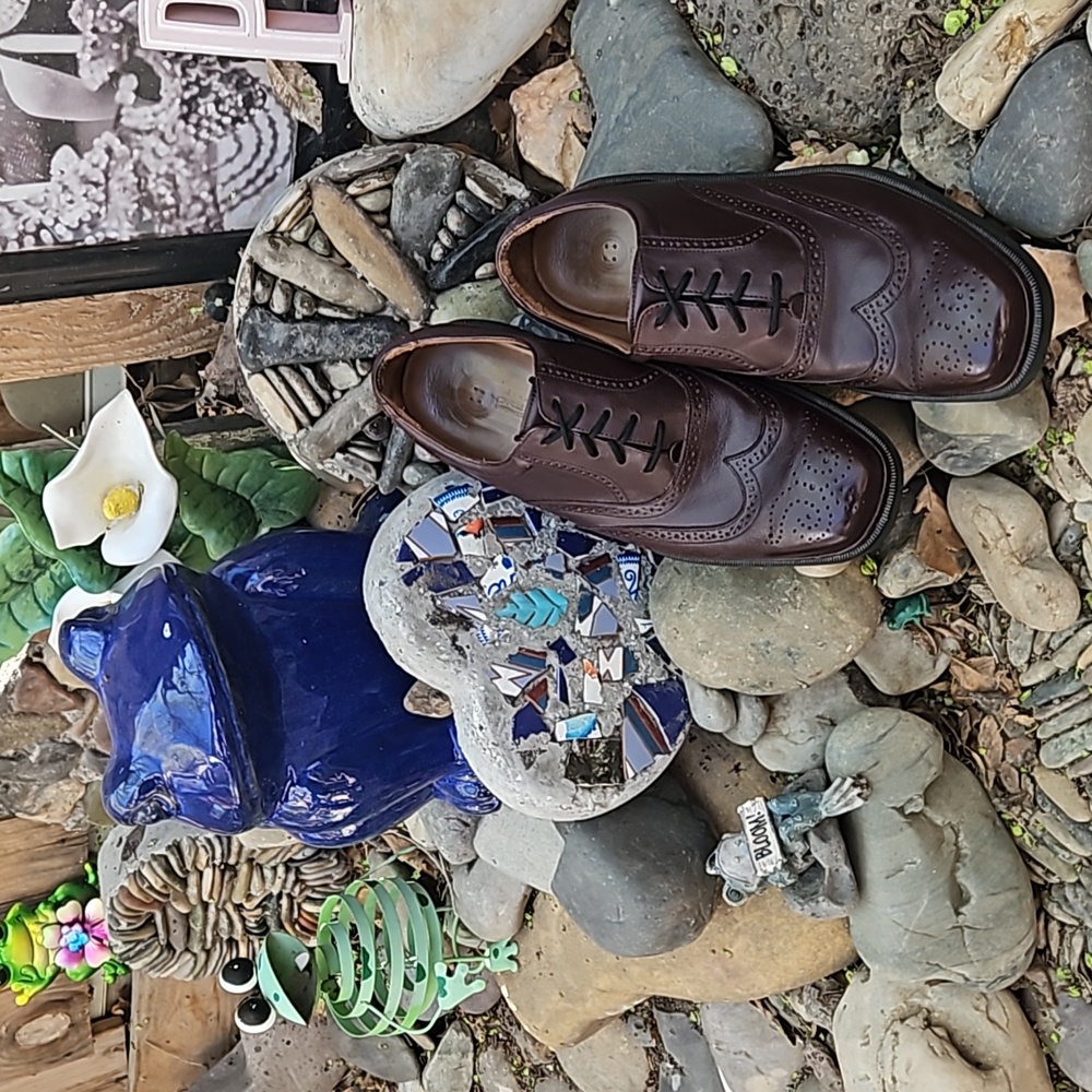 Rockport Dressport Leather Wingtip Oxford Shoes